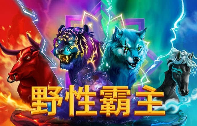 welcome新2登录